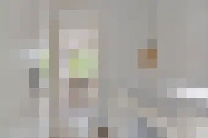 Toscalaan 764 Hoogvliet Rotterdam thumbnail 13