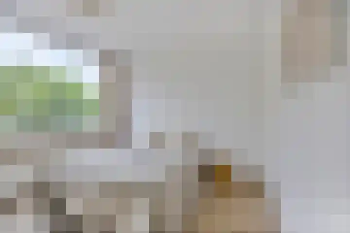 Toscalaan 764 Hoogvliet Rotterdam thumbnail 14