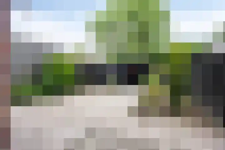 Toscalaan 764 Hoogvliet Rotterdam thumbnail 22