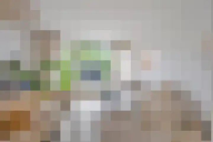 Toscalaan 764 Hoogvliet Rotterdam thumbnail 5