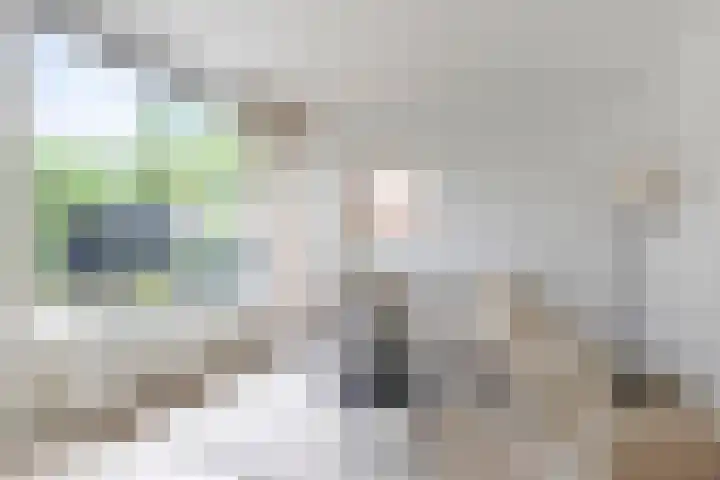 Toscalaan 764 Hoogvliet Rotterdam thumbnail 7