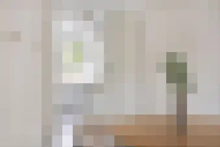 Toscalaan 764 Hoogvliet Rotterdam thumbnail 9