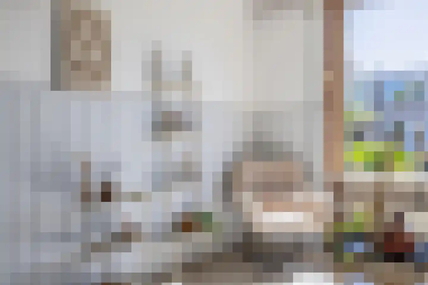 Toscalaan 790 Hoogvliet Rotterdam thumbnail 9