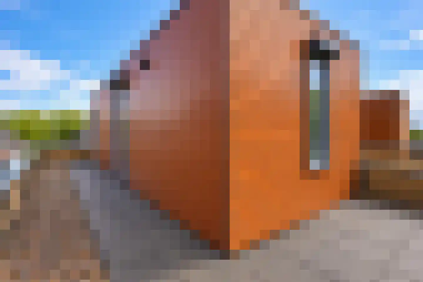 Toscane 46 Geleen thumbnail 19