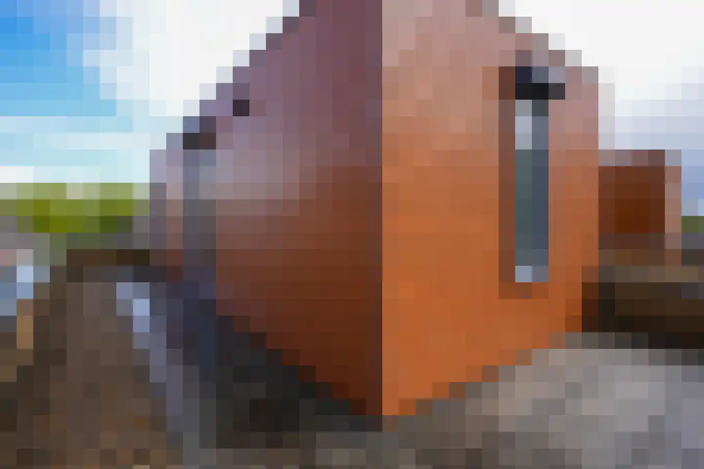 Toscane 46 Geleen thumbnail 25