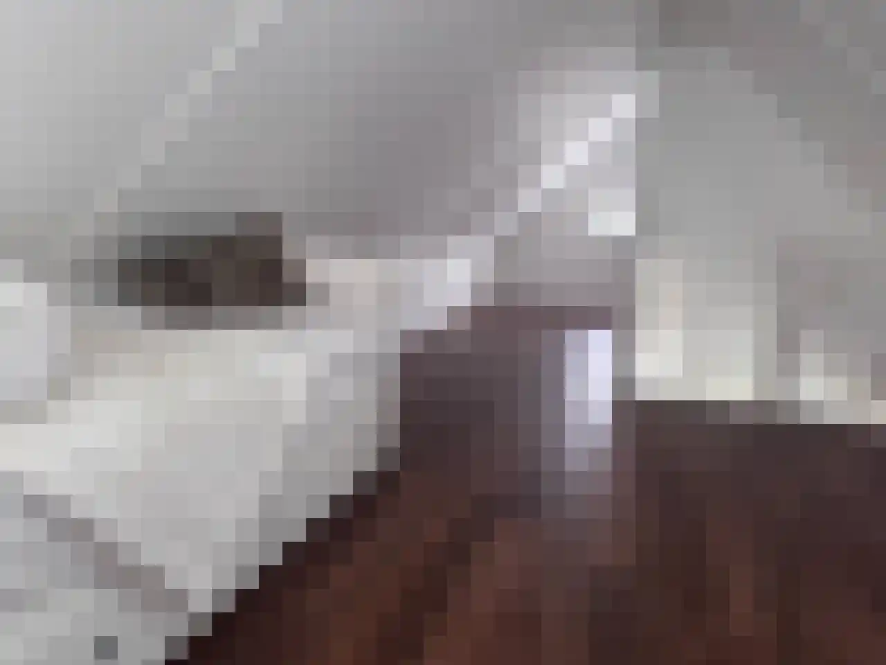 Toscane 7 Purmerend thumbnail 15