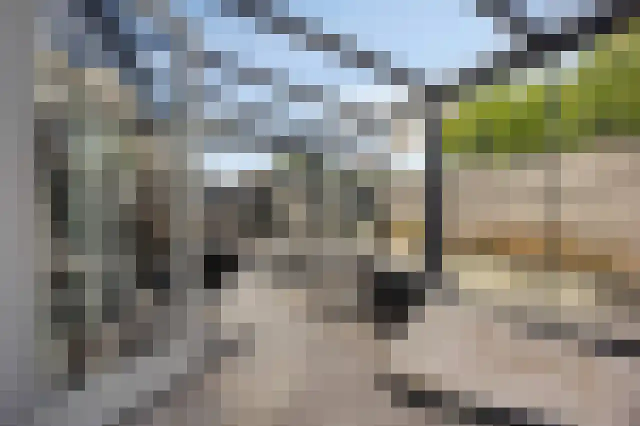 Toscane 7 Purmerend thumbnail 9