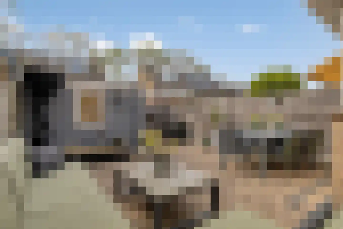 Toscanestraat 31 Heemskerk thumbnail 27
