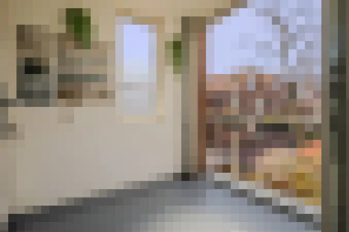 Toscaninistraat 7 Den Haag thumbnail 20