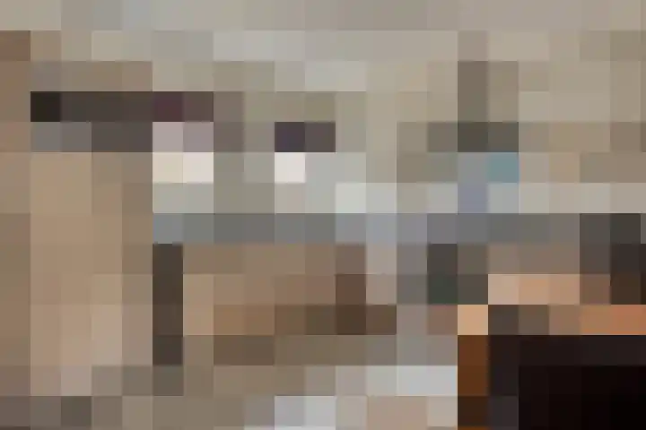 Toscaschouw 11 Zoetermeer thumbnail 15