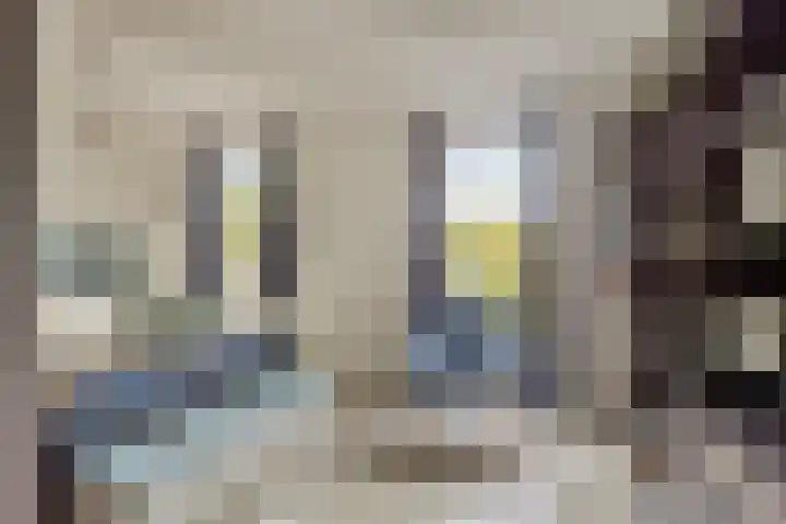 Toscaschouw 11 Zoetermeer thumbnail 19