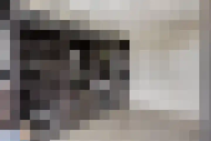 Toscaschouw 11 Zoetermeer thumbnail 20