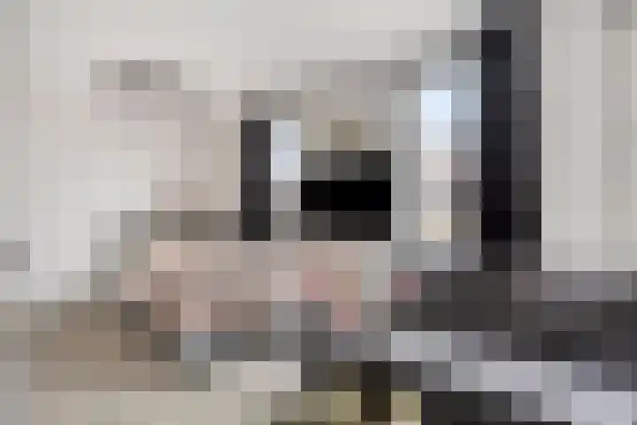Toscaschouw 11 Zoetermeer thumbnail 22