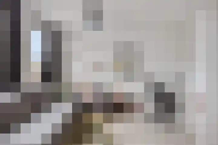 Toscaschouw 11 Zoetermeer thumbnail 23