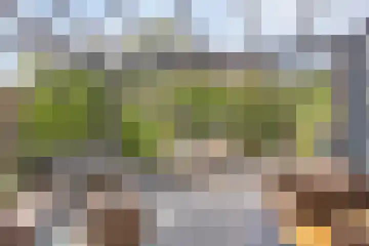 Toscaschouw 11 Zoetermeer thumbnail 32