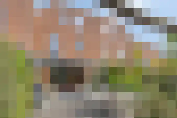 Toscaschouw 11 Zoetermeer thumbnail 35