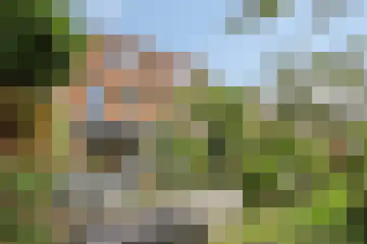 Toscaschouw 11 Zoetermeer thumbnail 36