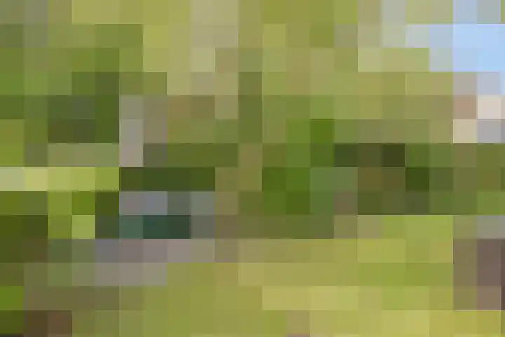 Toscaschouw 11 Zoetermeer thumbnail 37