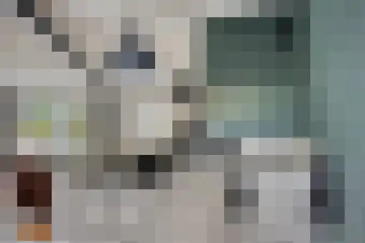 Toscaschouw 11 Zoetermeer thumbnail 48