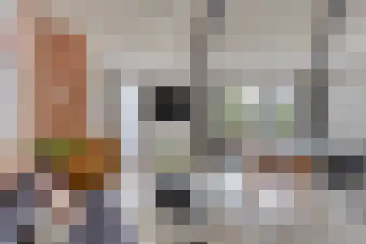 Toscaschouw 11 Zoetermeer thumbnail 7
