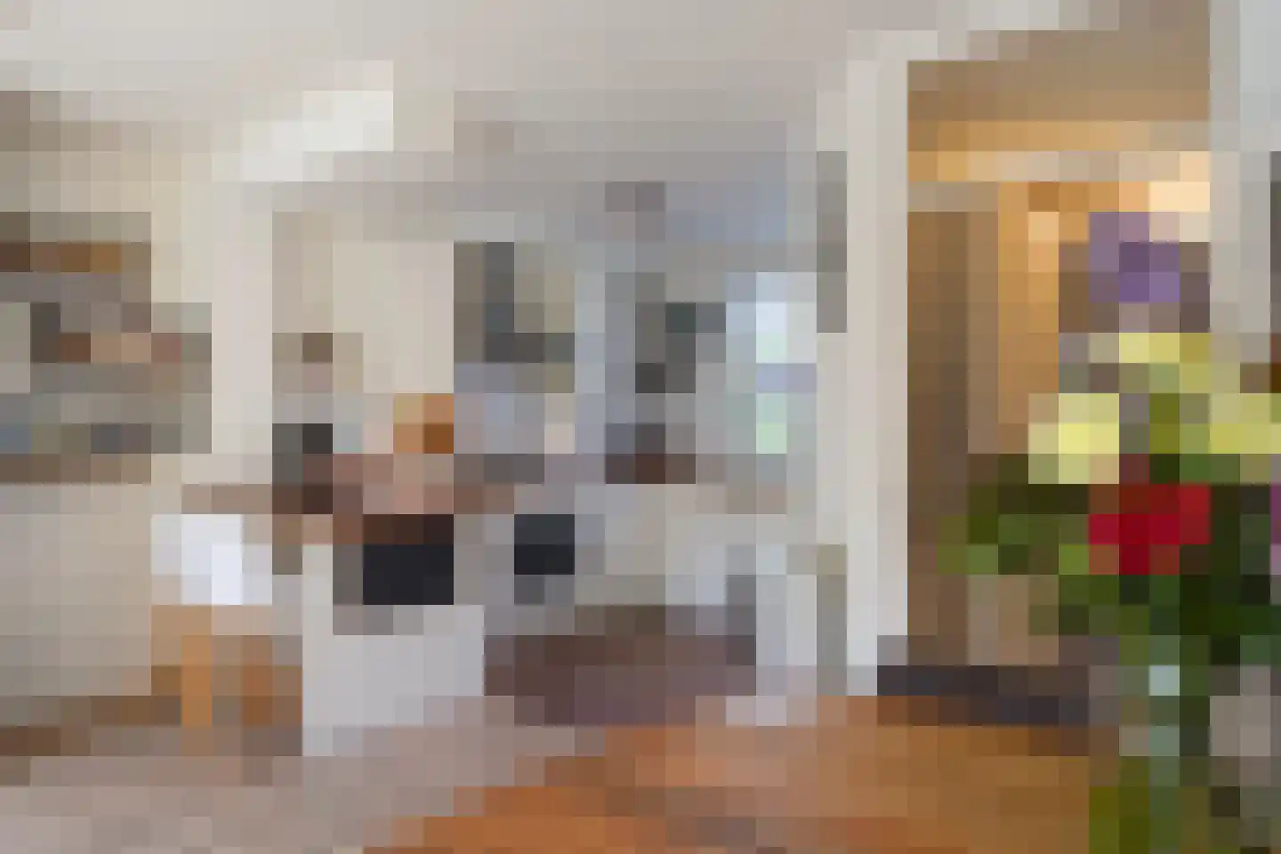 Toscaschouw 20 Zoetermeer thumbnail 14