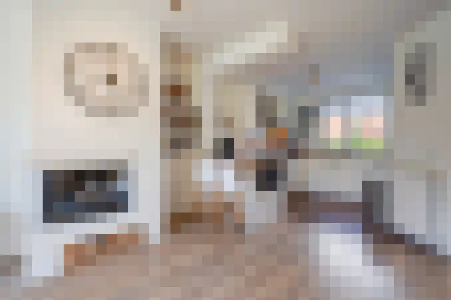 Toscaschouw 20 Zoetermeer thumbnail 15