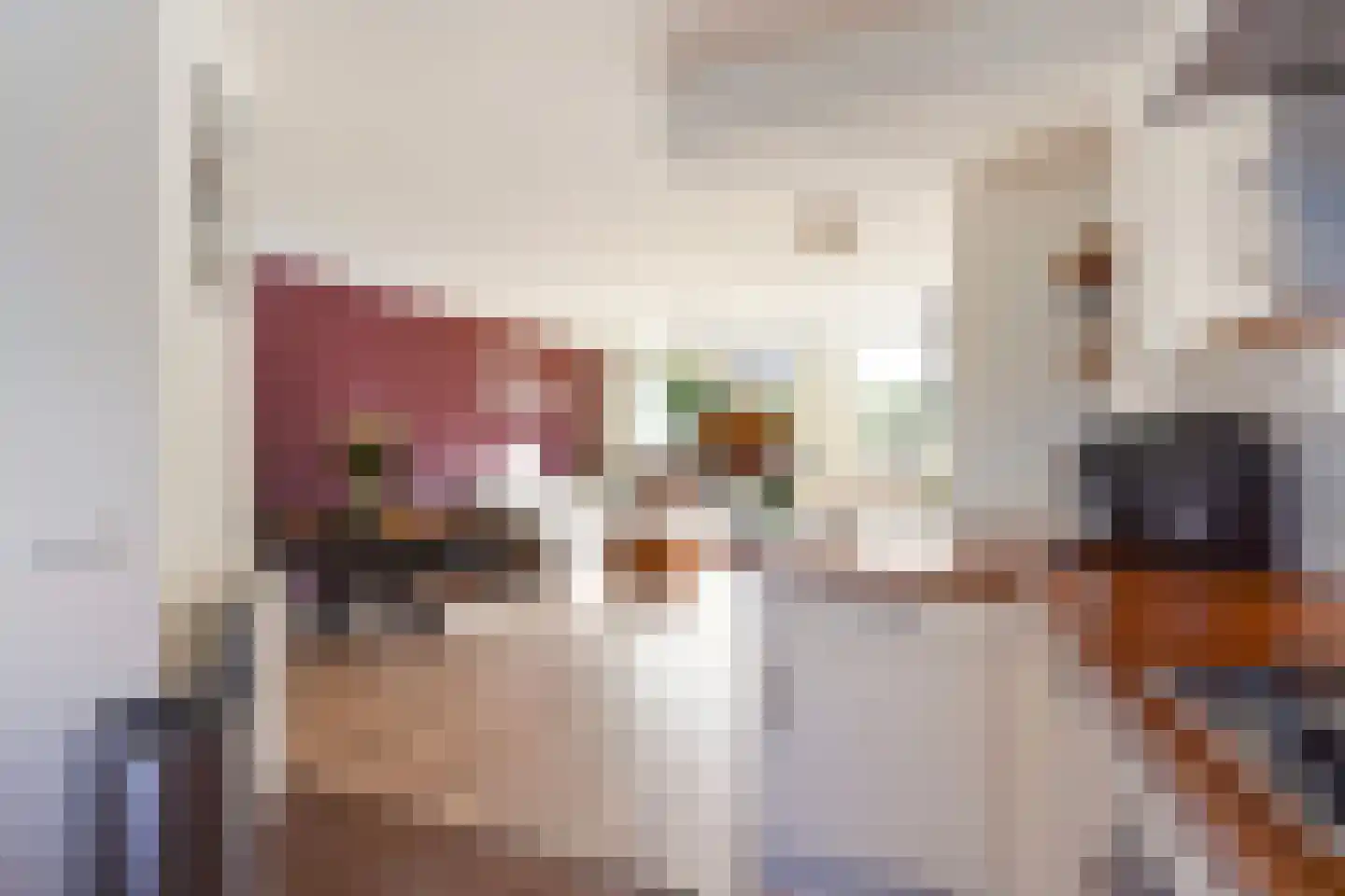 Toscaschouw 20 Zoetermeer thumbnail 24