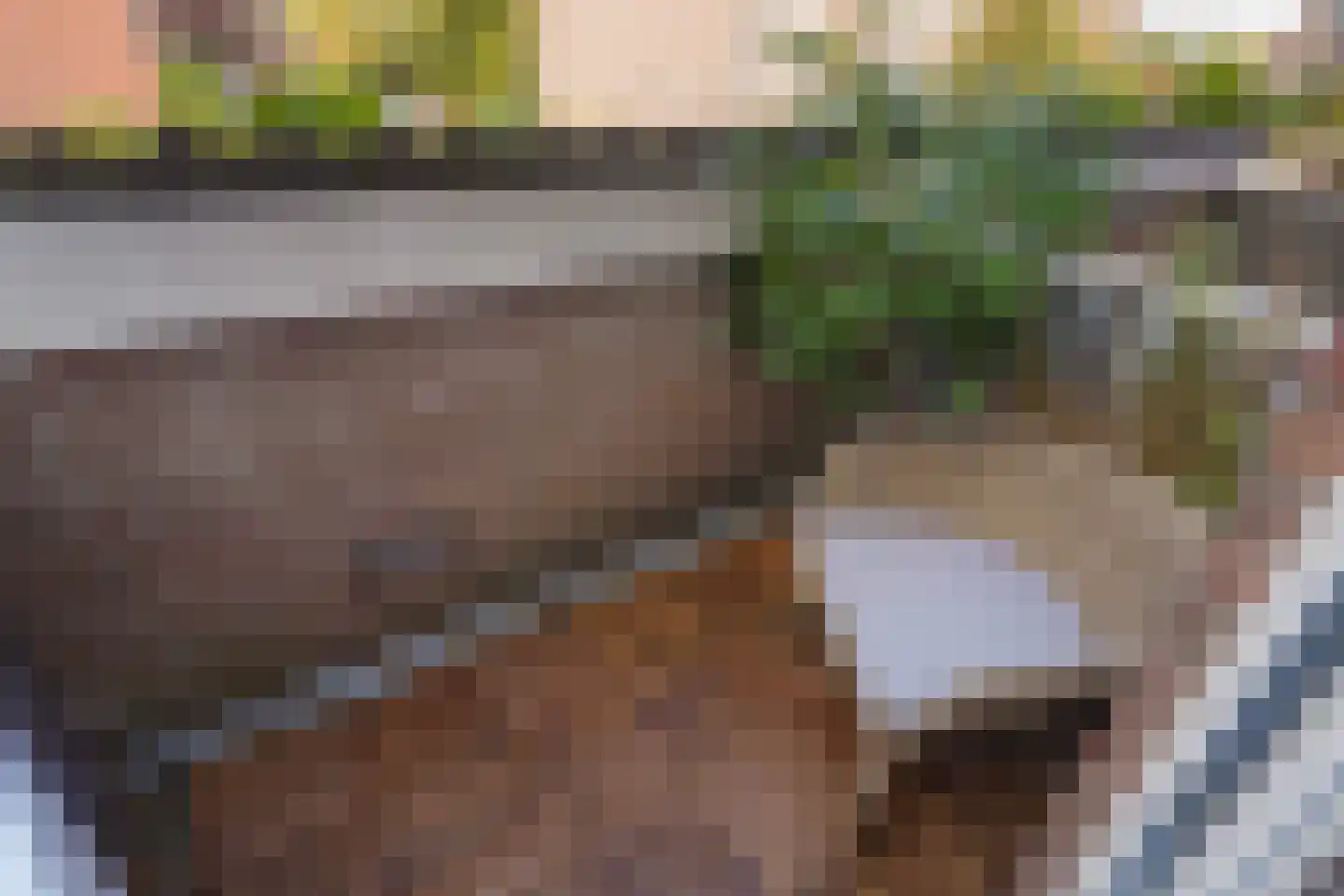 Toscaschouw 20 Zoetermeer thumbnail 37