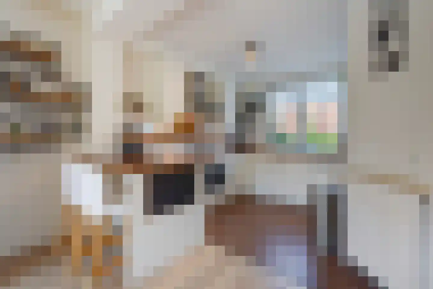 Toscaschouw 20 Zoetermeer thumbnail 5