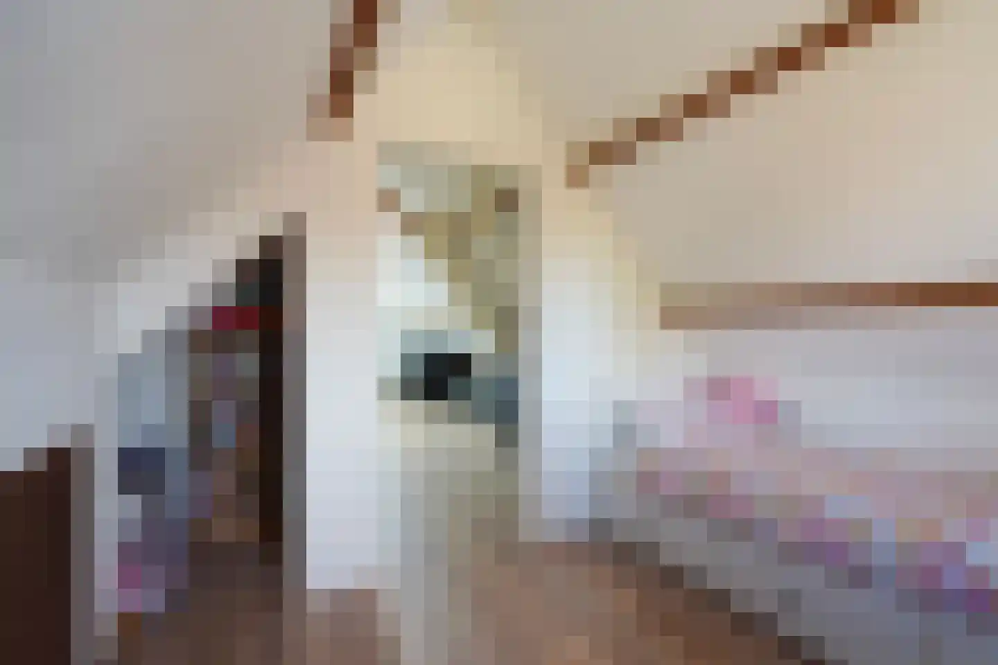 Toscaschouw 20 Zoetermeer thumbnail 51