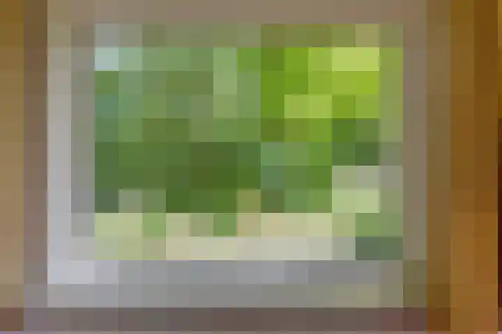 Toterfout 5 Veldhoven thumbnail 12