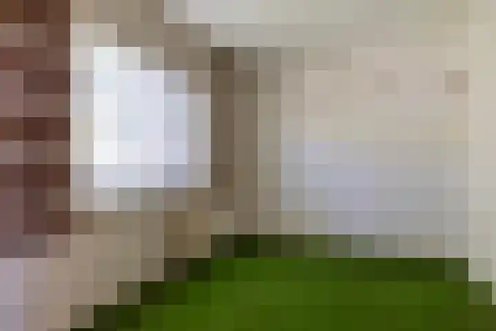 Toterfout 5 Veldhoven thumbnail 18