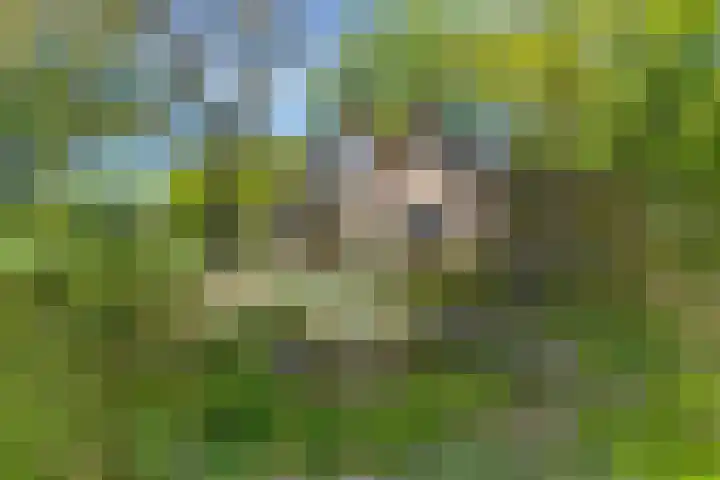 Toterfout 5 Veldhoven thumbnail 25