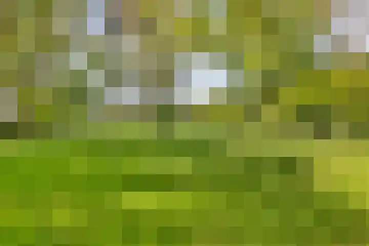 Toterfout 5 Veldhoven thumbnail 27