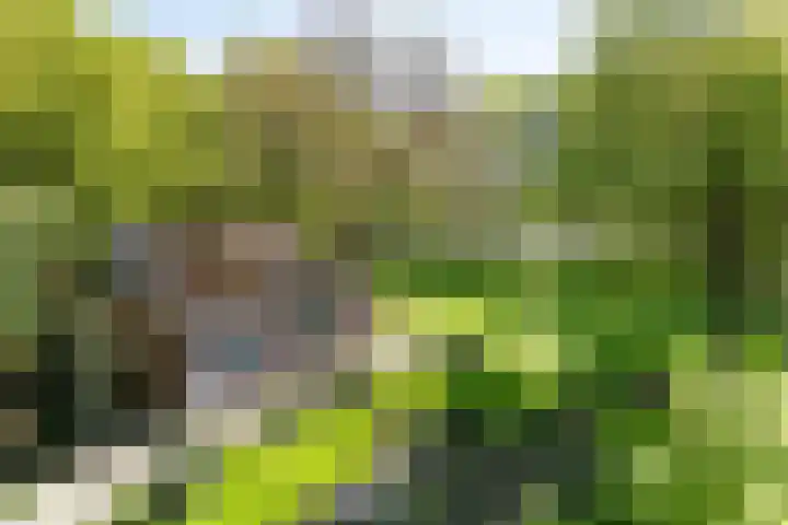 Toterfout 5 Veldhoven thumbnail 29