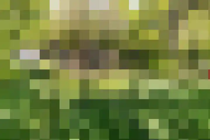 Toterfout 5 Veldhoven thumbnail 30