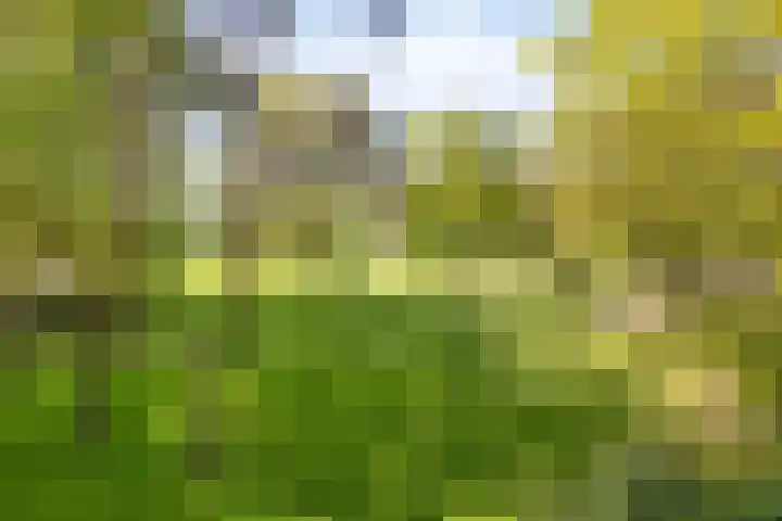Toterfout 5 Veldhoven thumbnail 31