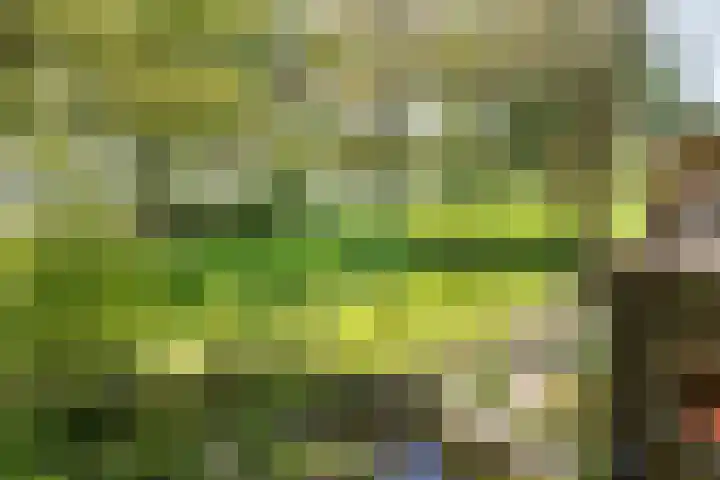 Toterfout 5 Veldhoven thumbnail 32
