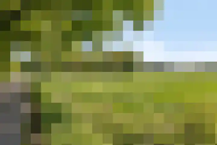 Toterfout 5 Veldhoven thumbnail 33