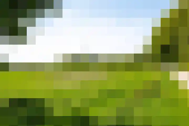 Toterfout 5 Veldhoven thumbnail 34