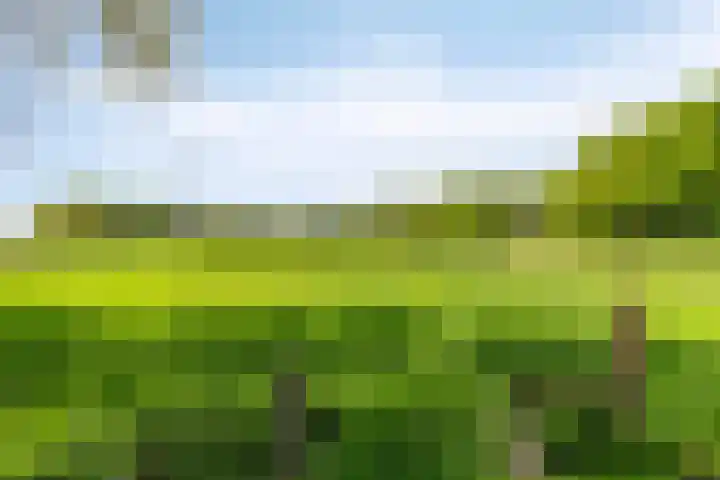 Toterfout 5 Veldhoven thumbnail 35