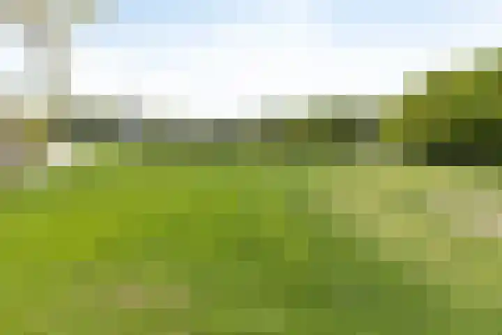Toterfout 5 Veldhoven thumbnail 36