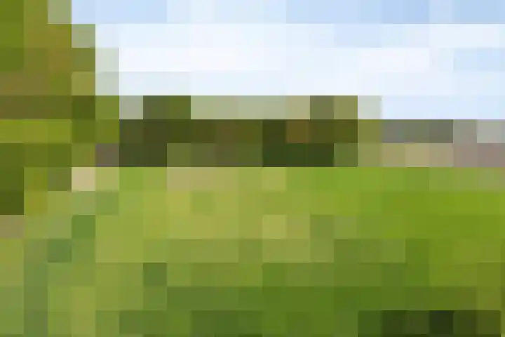Toterfout 5 Veldhoven thumbnail 37