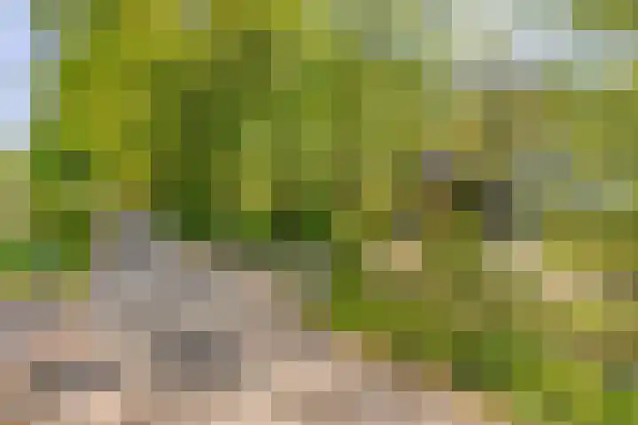 Toterfout 5 Veldhoven thumbnail 4