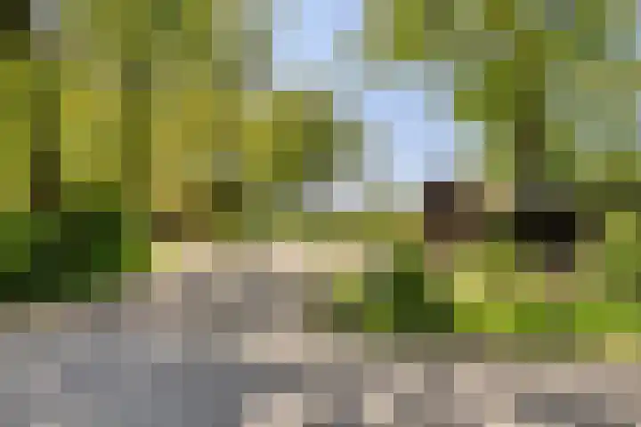 Toterfout 5 Veldhoven thumbnail 5