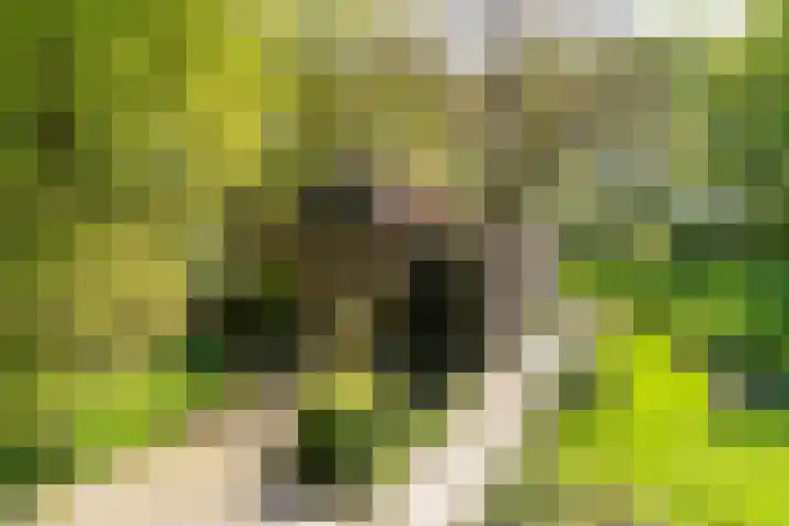 Toterfout 5 Veldhoven thumbnail 6