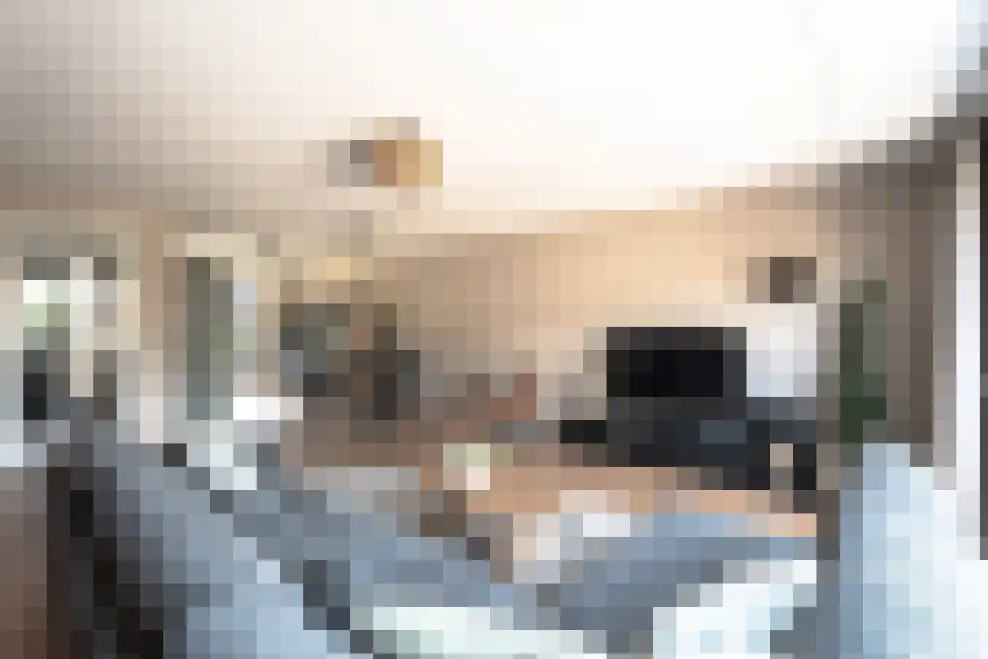 Toubkalpad 11 Hoogvliet Rotterdam thumbnail 13