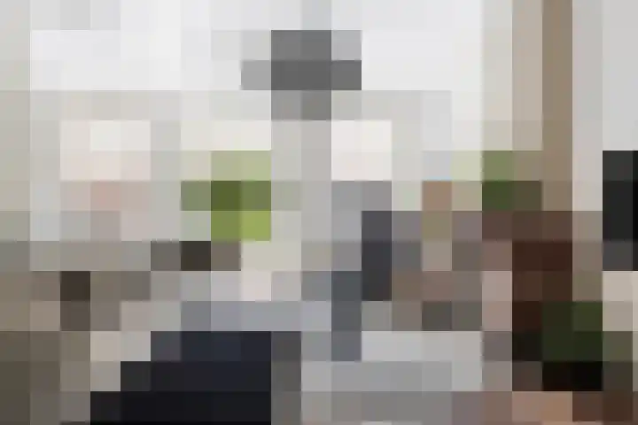Toulonselaan 141 Dordrecht thumbnail 10