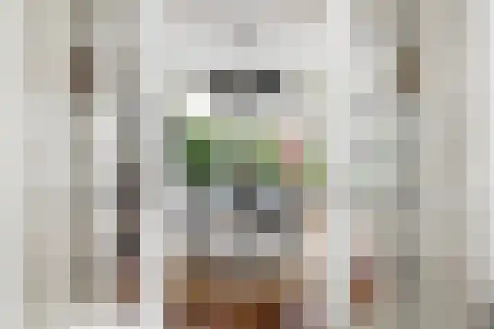 Toulonselaan 141 Dordrecht thumbnail 19