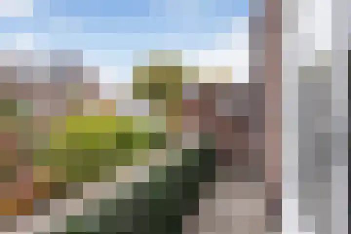 Toulonselaan 141 Dordrecht thumbnail 24